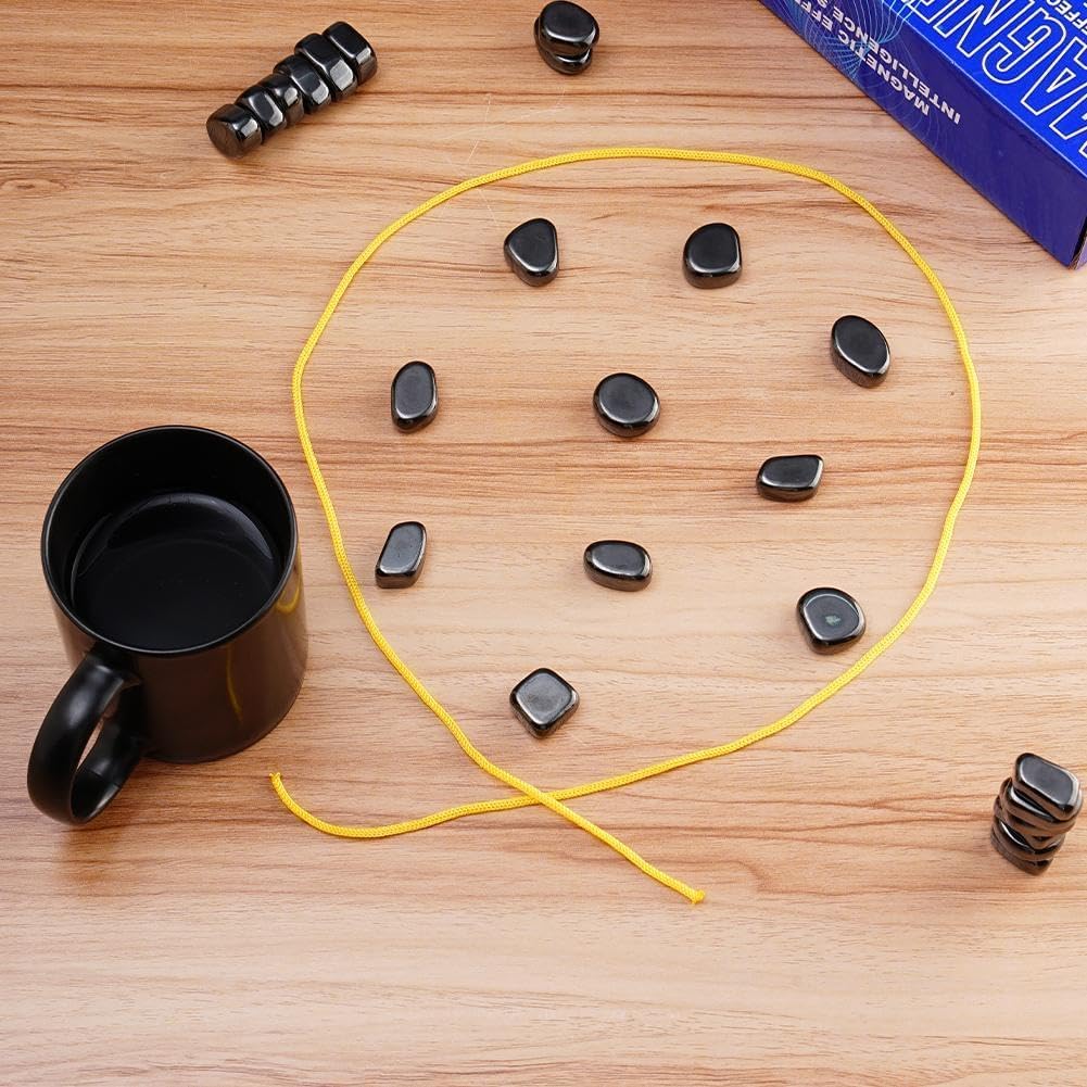 MAGNETIC CHESS DRUŠTVENA IGRA